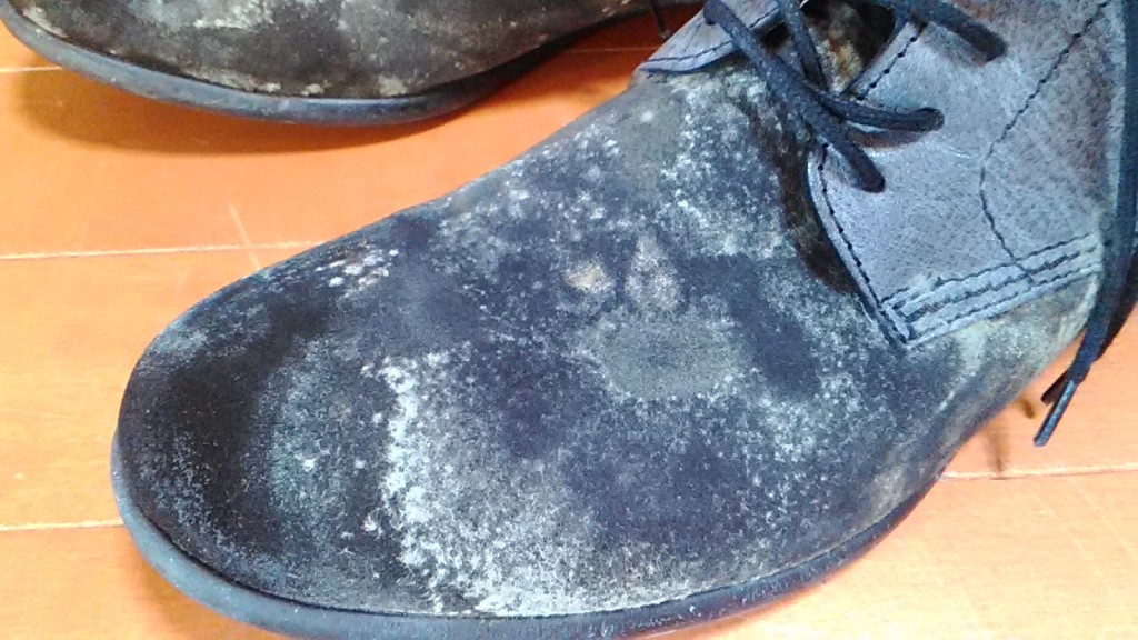ディーゼルのブーツのカビ取り＆丸洗いの靴修理
